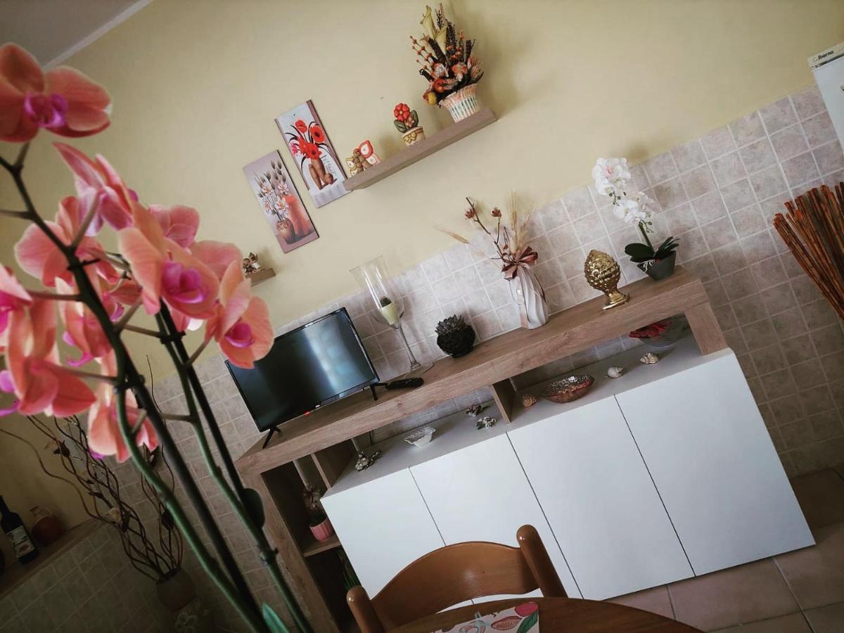 B&B Da Manuela Macchiagodena Extérieur photo